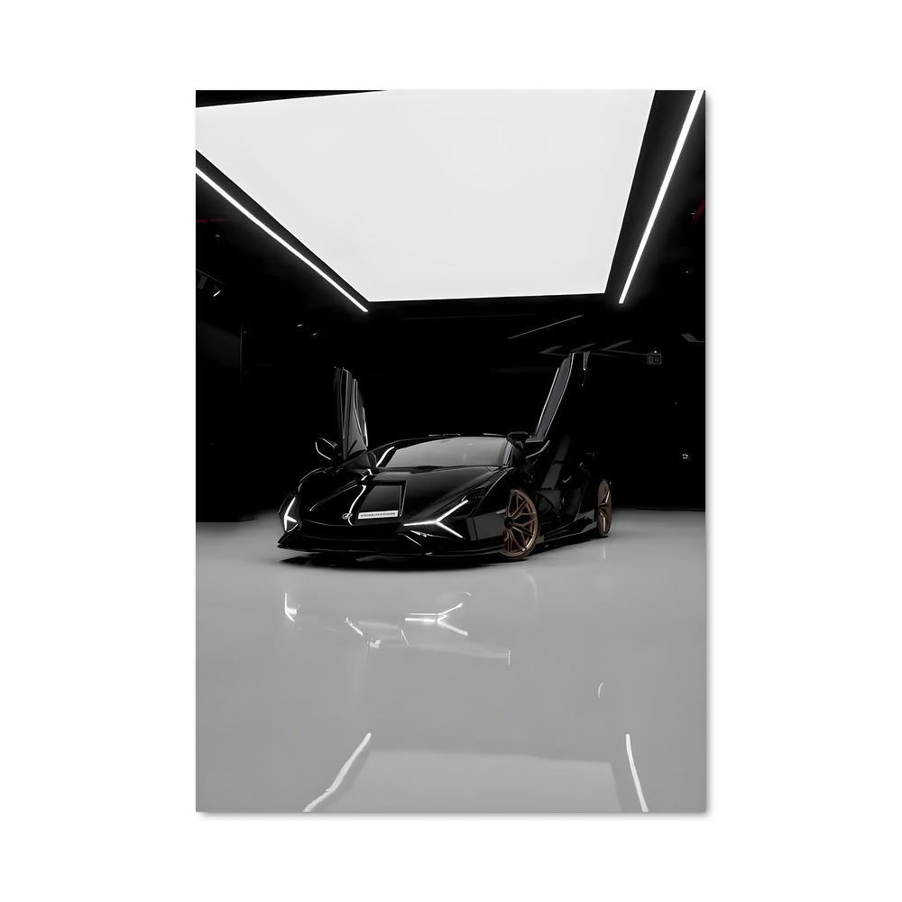 Poster Sian Noir et Blanc